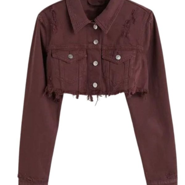 lily-pierce-wild-eyed-wicked-cropped-brown-jacket.jpg