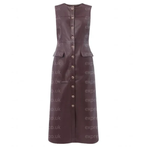 women-chocolate-leather-dress.webp